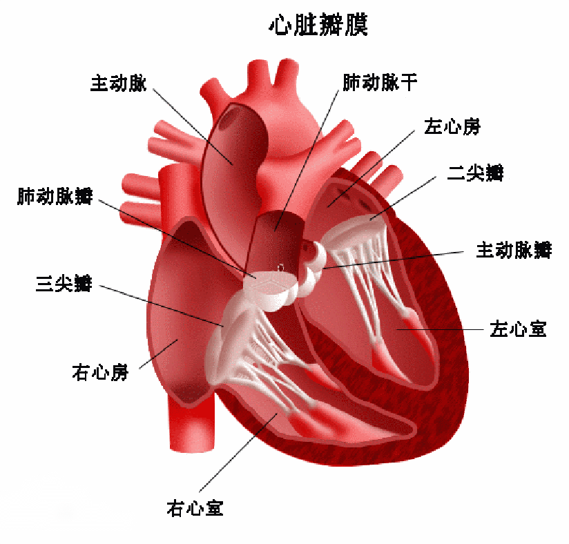 尊龙凯时(中国)人生就是搏!